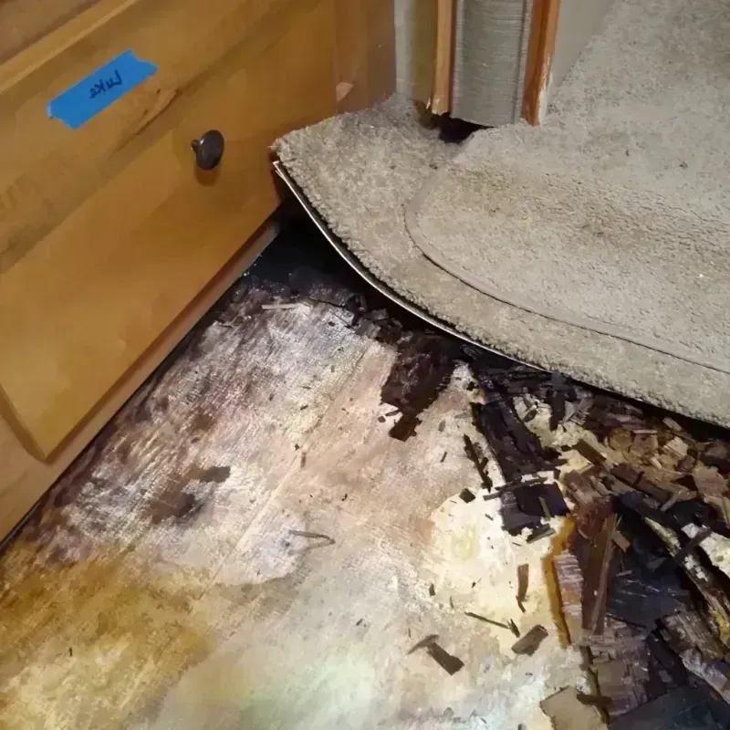 Wood Floor Water Damage in Loyal, WI